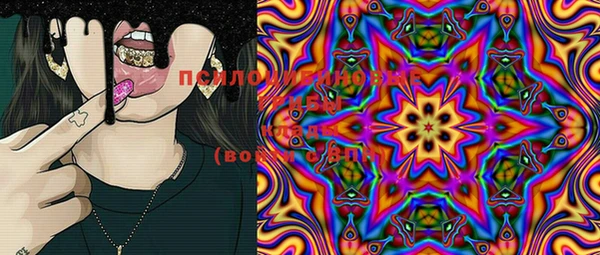 PSILOCYBIN Ладушкин