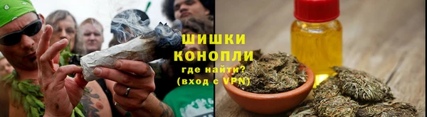 PSILOCYBIN Ладушкин
