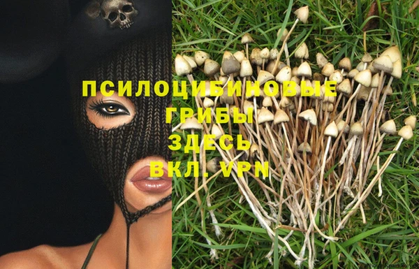 PSILOCYBIN Ладушкин