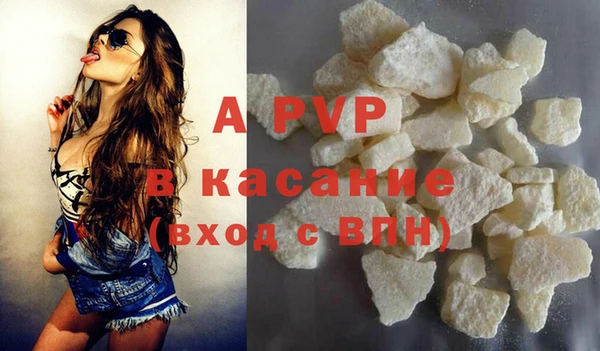 PSILOCYBIN Ладушкин