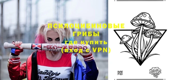 гашик Долгопрудный