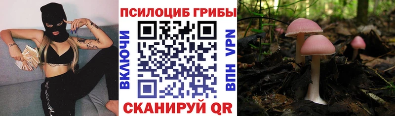 блэк спрут сайт  Холм  Галлюциногенные грибы мухоморы 